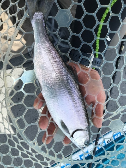 truth  ブログ写真 2019/08/12