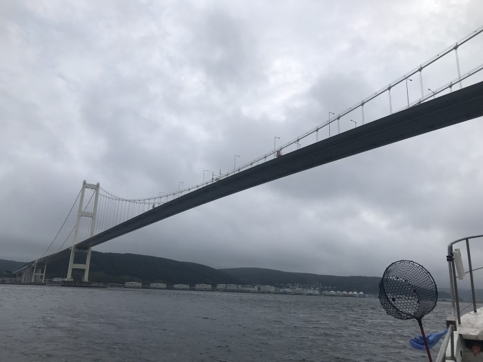 truth  ブログ写真 2019/08/19