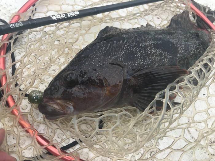 truth  ブログ写真 2019/08/19