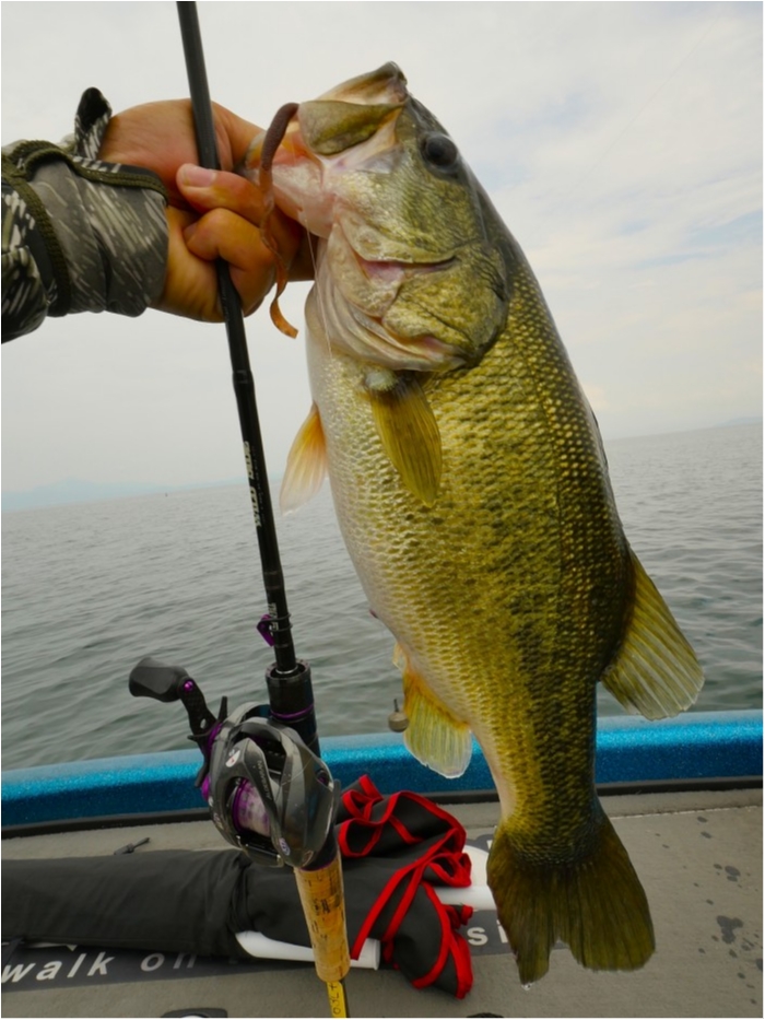 truth  ブログ写真 2019/08/23