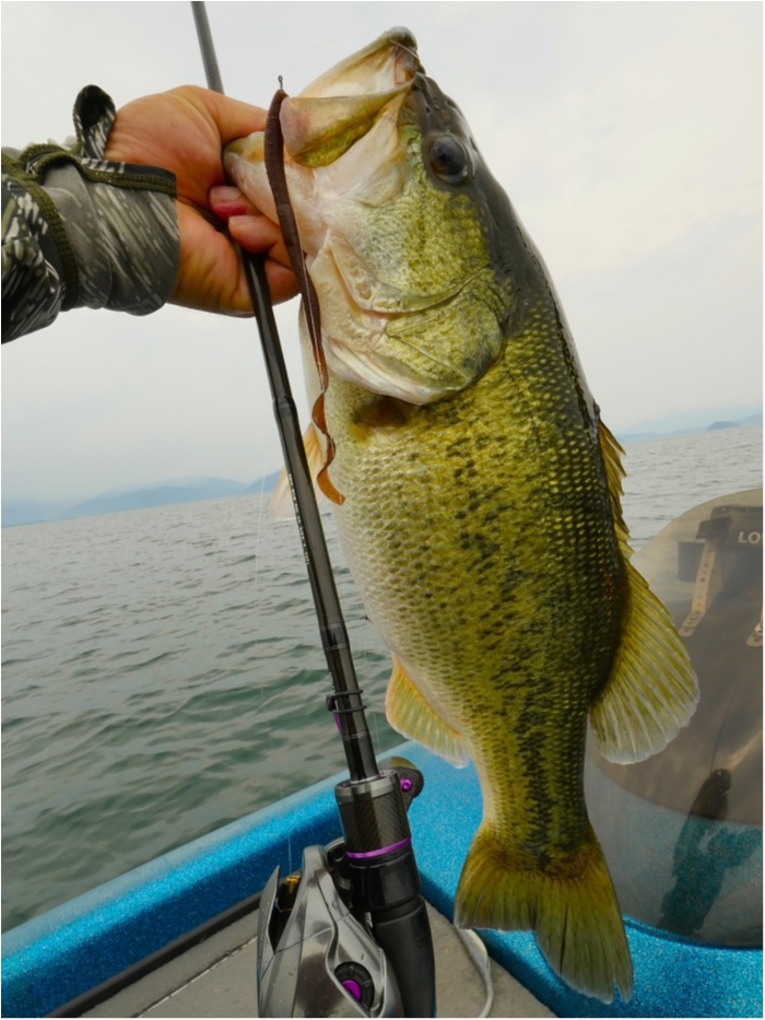 truth  ブログ写真 2019/08/23