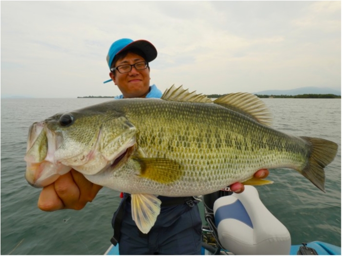 truth  ブログ写真 2019/08/23