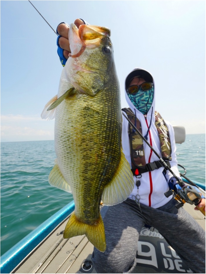 truth ブログ写真 2019/08/25