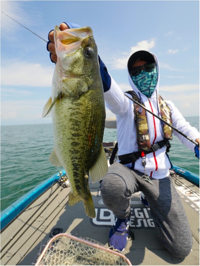 truth ブログ写真 2019/08/25