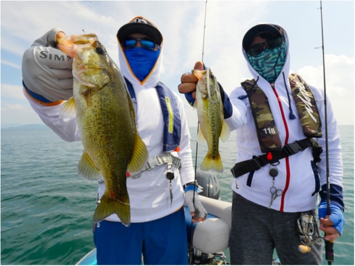 truth ブログ写真 2019/08/25