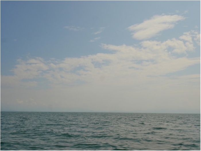 truth ブログ写真 2019/09/01