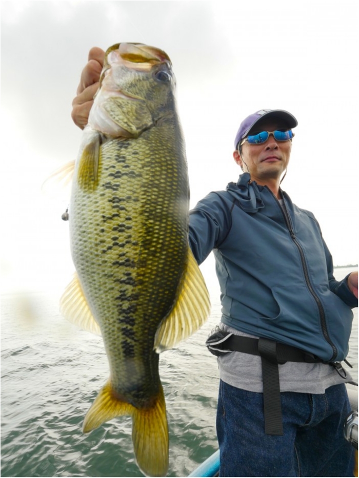 truth ブログ写真 2019/09/01