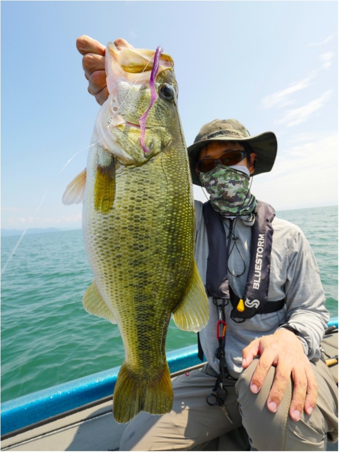 truth ブログ写真 2019/09/01