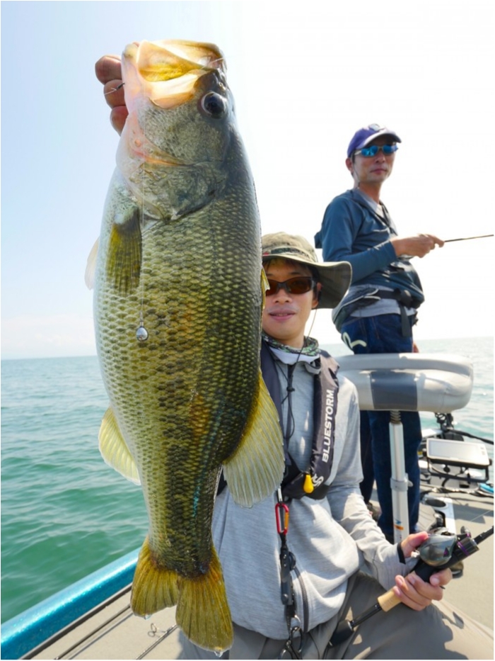 truth ブログ写真 2019/09/01