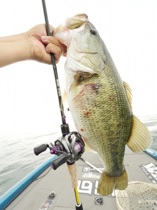 truth ブログ写真 2019/09/03