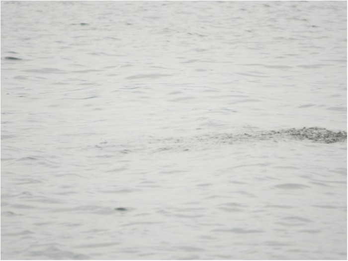 truth ブログ写真 2019/09/03