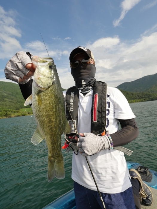 truth ブログ写真 2019/09/03