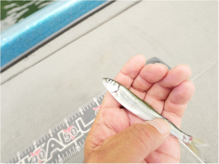 truth ブログ写真 2019/09/03