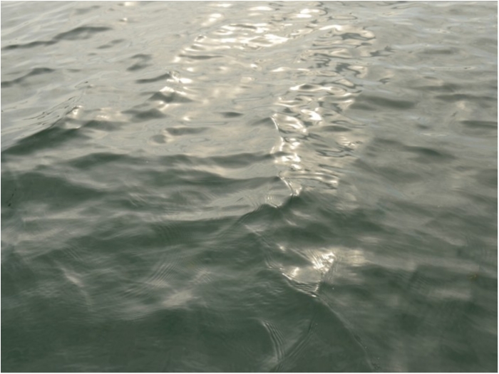 truth  ブログ写真 2019/09/04