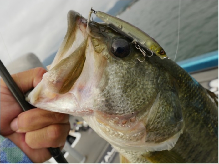 truth  ブログ写真 2019/09/06