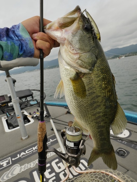 truth  ブログ写真 2019/09/06