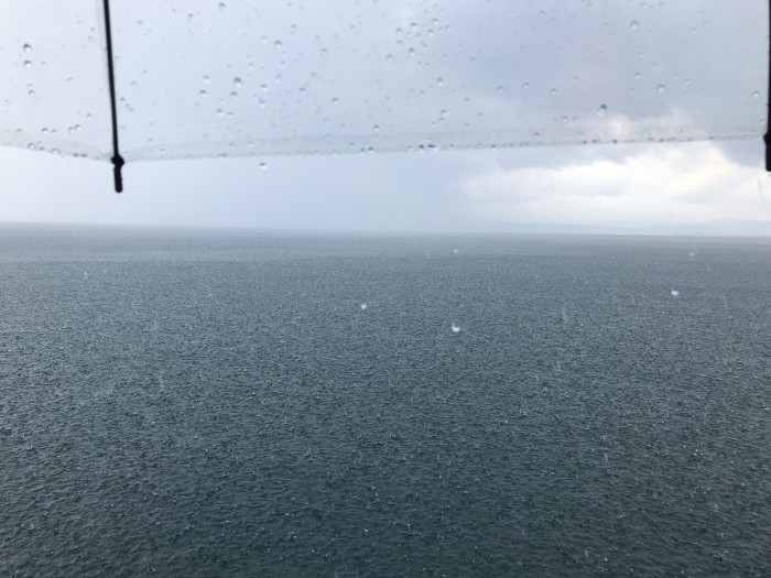 truth ブログ写真 2019/09/11