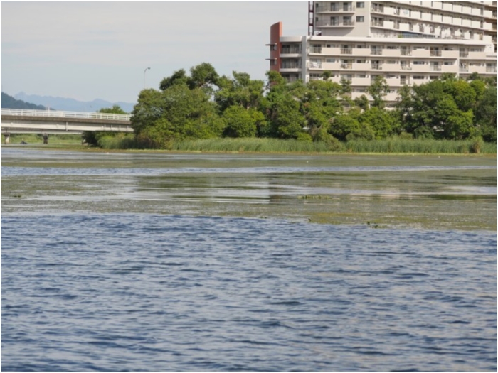 truth ブログ写真 2019/09/13