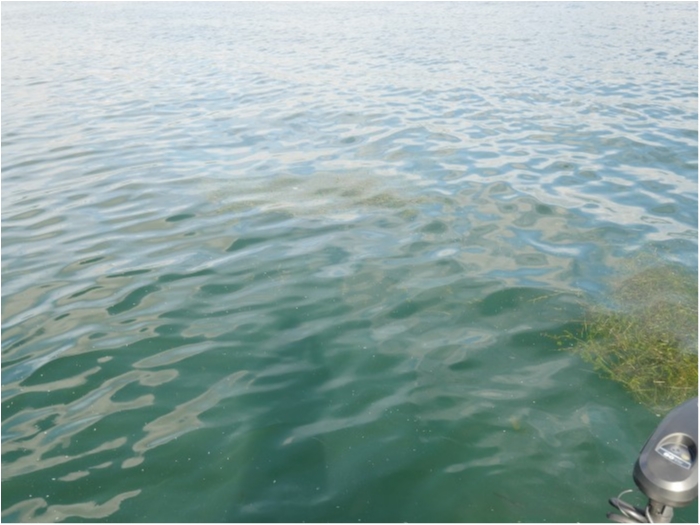 truth ブログ写真 2019/09/13