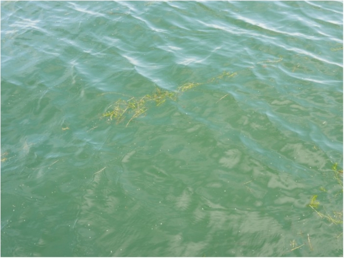 truth ブログ写真 2019/09/13