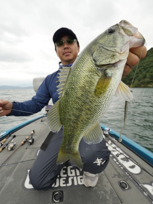 truth ブログ写真 2019/09/14