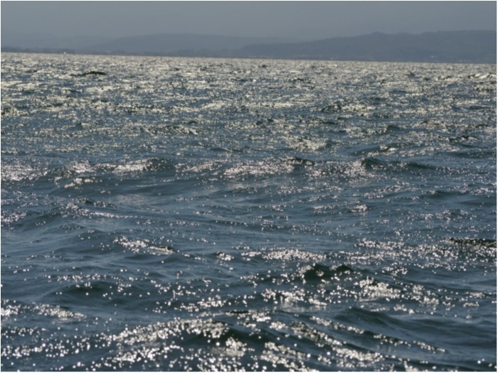 truth ブログ写真 2019/09/17