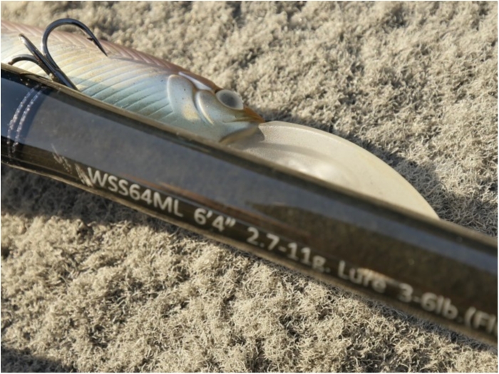 truth ブログ写真 2019/09/17