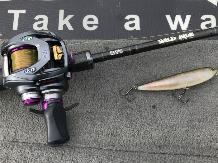 truth ブログ写真 2019/09/18