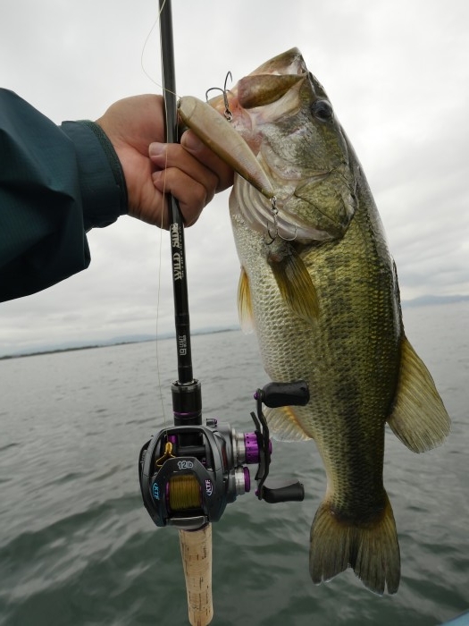 truth ブログ写真 2019/09/18