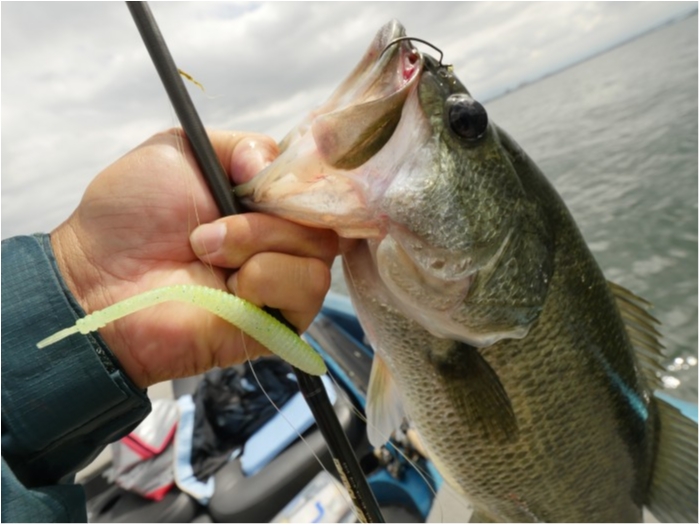 truth ブログ写真 2019/09/18