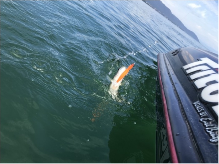 truth ブログ写真 2019/09/20