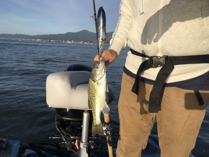 truth ブログ写真 2019/09/20