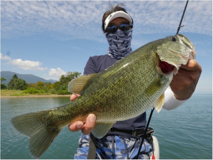 truth ブログ写真 2019/09/20