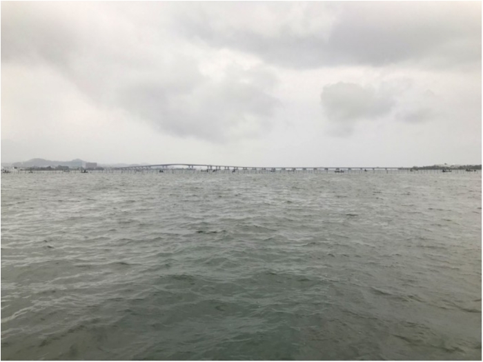 truth  ブログ写真 2019/09/21