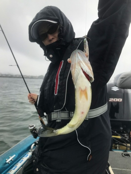 truth  ブログ写真 2019/09/21