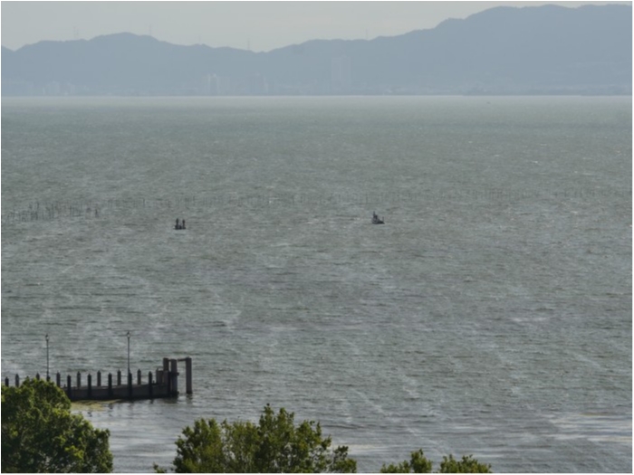 truth  ブログ写真 2019/09/23