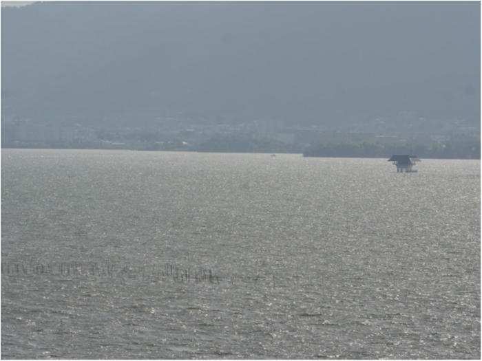 truth  ブログ写真 2019/09/23