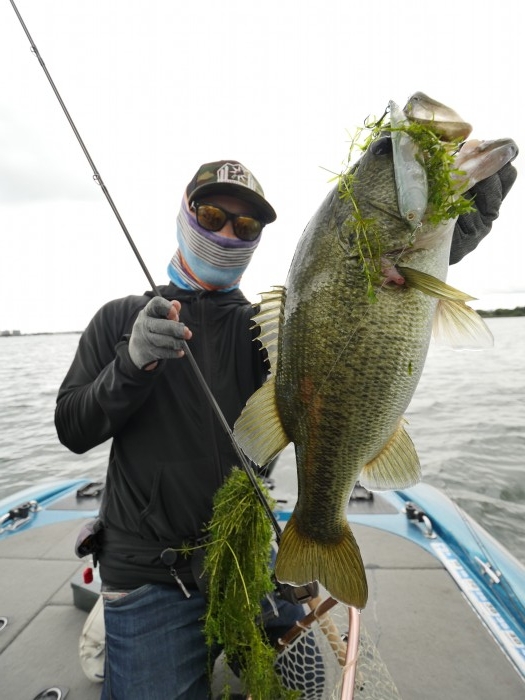 truth  ブログ写真 2019/09/24