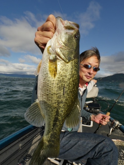 truth ブログ写真 2019/10/07