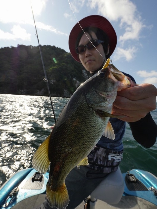 truth ブログ写真 2019/10/07