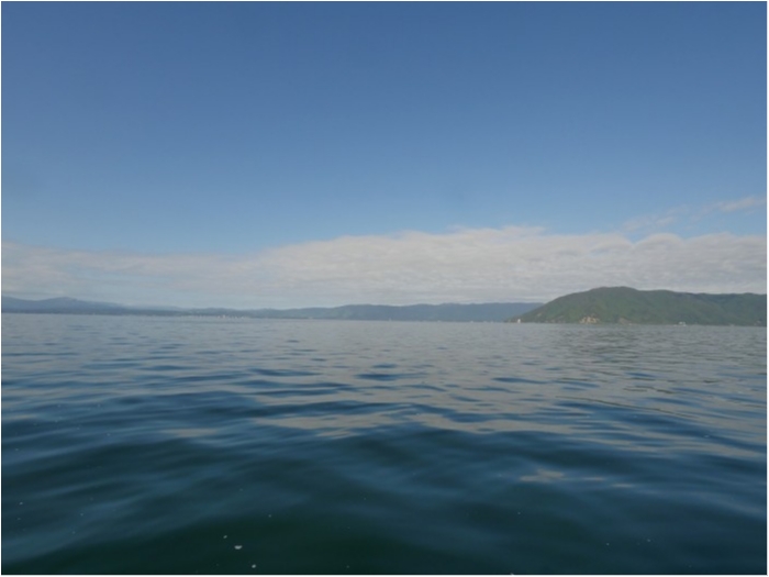 truth ブログ写真 2019/10/08