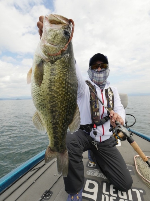 truth ブログ写真 2019/10/08