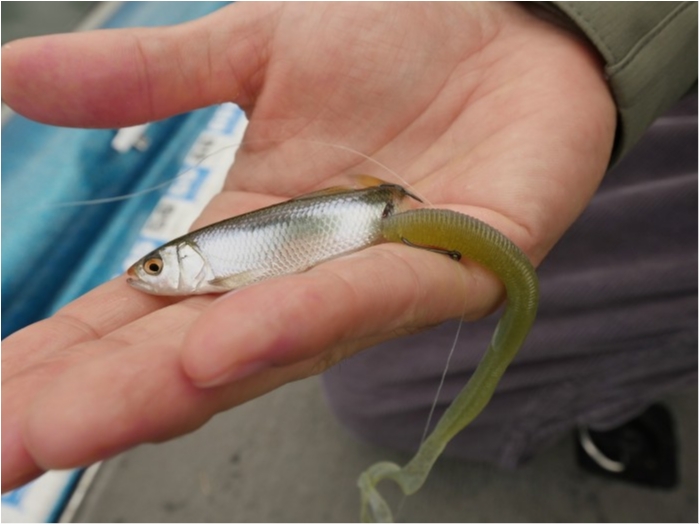 truth ブログ写真 2019/10/17