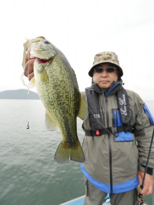 truth ブログ写真 2019/10/19