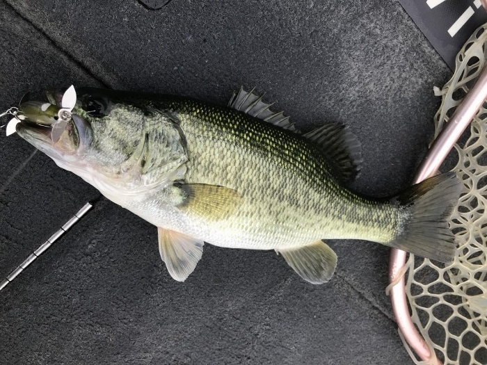 truth ブログ写真 2019/10/20