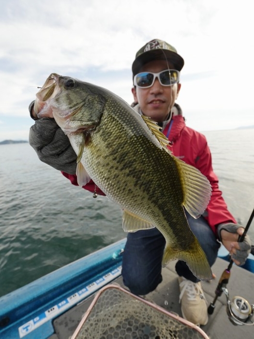 truth  ブログ写真 2019/10/23