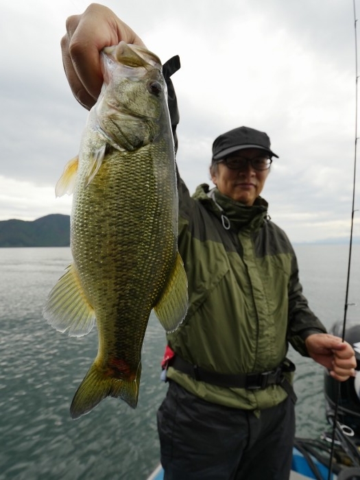 truth  ブログ写真 2019/10/24