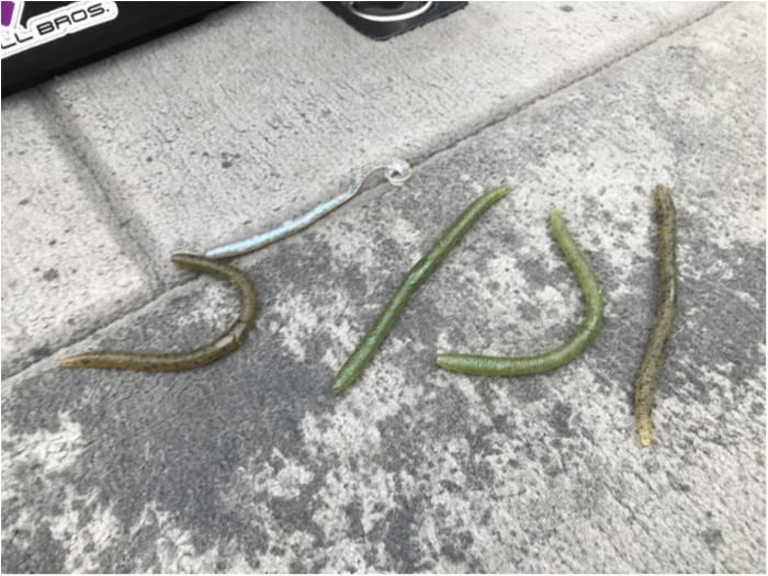 truth  ブログ写真 2019/10/24