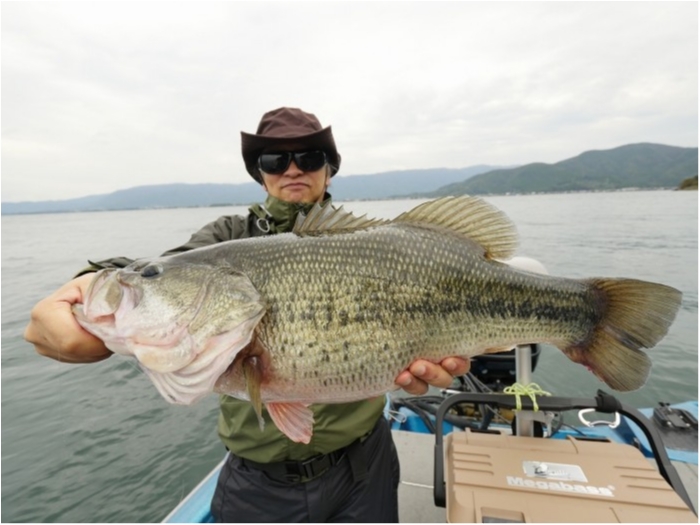 truth  ブログ写真 2019/10/24