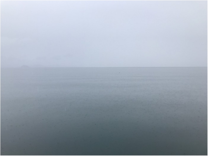 truth  ブログ写真 2019/10/25